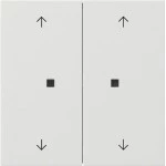 Gira 5174112 Taster Wippe 2f Pfeile OneKNX Flächenschalter Reinweiß 