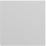 Gira 537076 Wippe 2f unbedruckt System 70 Grau matt lackiert 