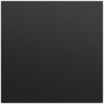Gira 537274 Wippe 1f unbedruckt System 70 Schwarz matt lackiert 