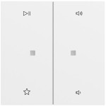 Gira 538472 Wippe 2f Audiostrg System 70 Reinweiß matt lackiert 