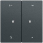 Gira 538473 Wippe 2f Audiostrg System 70 Anthrazit lackiert 