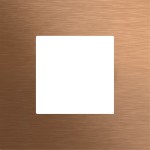 Gira 5545921 Frontplatte in Bronze passend für System 106 mit Keyless In Fingerprintmodul für erhöhten Berührungsschutz 