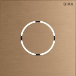 Gira 5578921 Frontplatte in Bronze passend für Sprachmodul der Serie System 106 von 