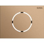 Gira 5579921 Frontplatte in Bronze passend für Türstationsmodul der Serie System 106 von 