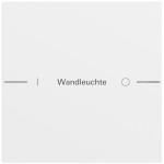 Gira 576170 Wippenset 1-fach individuell passend für Tastsensor 4.70 in Reinweiß glänzend aus der Serie System (Zubehör) 