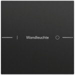 Gira 576174 Wippenset 1-fach individuell passend für Tastsensor 4.70 in Schwarz matt lackiert (Zubehör) 