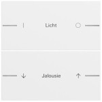 Gira 576270 Wippenset 2-fach individuell passend für Tastsensor 4.70 in Reinweiß glänzend (Zubehör) 