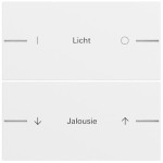 Gira 576272 Wippenset 2-fach individuell passend für Tastsensor 4.70 in Reinweiß seidenmatt lackiert (Zubehör) 