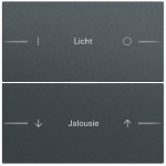 Gira 576273 Wippenset 2-fach individuell passend für Tastsensor 4.70 in Anthrazit lackiert (Zubehör) 