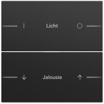 Gira 576274 Wippenset 2-fach individuell für Tastsensor 4.70 in Schwarz matt lackiert (Zubehör) 