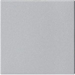 Gira 810826 Blindabdeckung ohne Tragring in Aluminiumfarbe passend für System 55 Programmübergreifend 