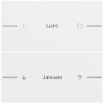 Gira 862270 Wippe als Wippenset 2fach individuell passend für Tastsensor 4.70 in Reinweiß (Ersatzteil) (Zubehör) 