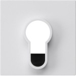 Gira 866403 Abd.Schlüsselschalter/-taster o.Aufdruck System 55 Reinweiß 