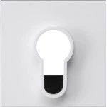 Gira 866427 Abd.Schlüsselschalter/-taster o.Aufdruck System 55 Reinweiß m 