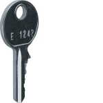 Hager FZ596 Ersatzschlüssel univers für Schließung FZ597N Schließ-Nr. 1242E 