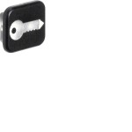 Hager WNA903 Linse m Druck Sym Schlüssel W.1 10er-Set 