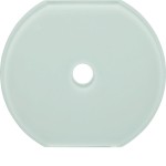 Hager WTD7672GWG Glas-Mittelplatte Schalter Serie Glas pw 