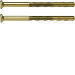 Hager WZA9092 Zweilochschraube M3,5 x 50 mm in gold glänzend, passend für System TS 