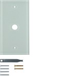 Hager WZD7100GW Glasabdeckplatte 1-fach polarweiß glänzend passend für System TS 