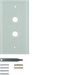 Hager WZD7200GW Glasabdeckplatte 2-fach polarweiß glänzend passend für System TS 