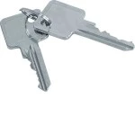 Hager ZAY50995 Satz mit 2 Schlüsseln Zubehör für ZAY50994 