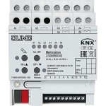 Jung 23066REGHE KNX Multistation AC 250V 
