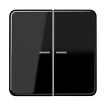 Jung BTCD17102SW JUNG HOME Taster 2-fach Duroplast Serie CD schwarz 