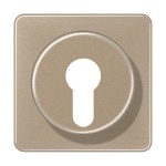 Jung CD528GB Abdeckung für Schlüsselschalter mit Demontageschutz Aluminium eloxiert Serie CD gold-bronze 