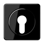 Jung CD528SW Abdeckung für Schlüsselschalter mit Demontageschutz Thermoplast Serie CD schwarz 