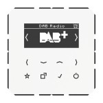 Jung DABCDWW Smart Radio DAB+ Serie CD alpinweiß 