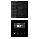 Jung DABLS1SW Smart Radio DAB+ Set Mono Serie LS schwarz 