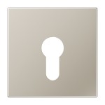 Jung ES2925 Abdeckung für Schlüsselschalter ohne Demontageschutz Serie LS Edelstahl 