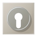 Jung ES2928 Abdeckung für Schlüsselschalter mit Demontageschutz Serie LS Edelstahl 
