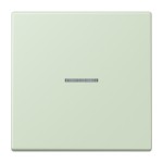 Jung LC990KO5218 Wippe 1-fach mit Lichtleiter Serie LS vert anglâis pale 