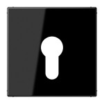 Jung LS925SW Abdeckung für Schlüsselschalter ohne Demontageschutz Thermoplast Serie LS schwarz 