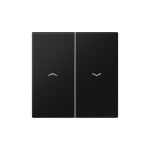 Jung LS995PSWM Wippe 2-fach mit Pfeilsymbolen Serie LS graphitschwarz matt 