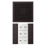 Jung SIAIAL6D Audio-Innenstation Serie LS dark (lackiertes Aluminium) 