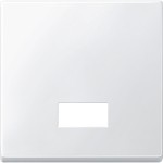Merten 434819 Wippe mit rechteckigem Symbolfenster polarweiß System M 