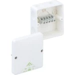 Spelsberg Abox 040-4²/w Abzweigkasten 80410701 