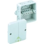 Spelsberg Abox 040 AB-4² Verbindungsdose 80540701 