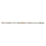 Brumberg 15221027 LED-Flexplatine IP60 5 Meter 4,8 W/m 24V DC 2700K CRI > 90 Maße: L x B x 