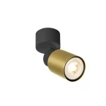 SLV 1008285 PURI 2.0 Tube, Wand- und Deckenaufbauleuchte, 1x max. 6 W GU10, schwarz / gold 