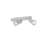SLV 1008319 PURI 2.0 Dome, Wand- und Deckenaufbauleuchte, asymmetrisch, 2 x max. 6 W GU10, grau 