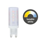 Paulmann 288.20 LED Stiftsockel Kunststoff 1x4W G9 Warmweiß-Tageslichtweiß TunableWhite 