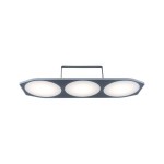 Paulmann 945.10 Park + Light LED Außenwandleuchte Route IP44 501x111mm 3000K 3x2W 3x320lm 12V Anthrazit Kunststoff 