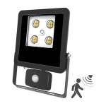 EVN LED-Strahler mit Bewegungsmelder 