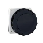 Schneider Electric 81685 Anbausteckdose gerade- 63A 3-polig +E 480-500 V AC IP67 