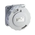 Schneider Electric 82968 Anbausteckdose 32A 3-polig 40-50 V AC IP67 