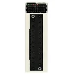 Schneider BMXDDO1602 Modicon X80-E/A-Modul, 16 Transistorausgänge, 24V DC, 0,5A, positive Logik 