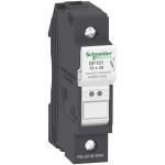 Schneider DF101 Sicherungshalter TeSys, 1p, 25A, Sicherungsgröße 10x38mm 